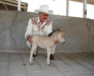 El Zarco